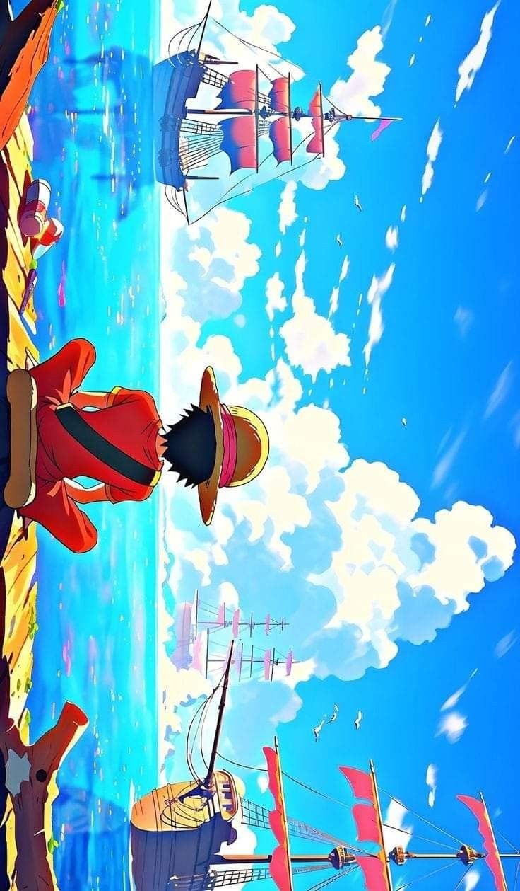 One Piece Banner